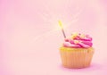 Sparkler on a cupcake pink background