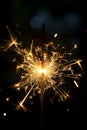 Sparkler Illuminating the Night