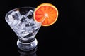 Sparkling beverage in a martini glass with a blood orange slice Royalty Free Stock Photo