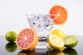 Sparkling beverage in a martini glass with colorful citrus Royalty Free Stock Photo