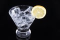 Sparkling beverage in a martini glass with a lemon slice Royalty Free Stock Photo