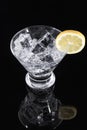 Sparkling beverage in a martini glass with a lemon slice Royalty Free Stock Photo