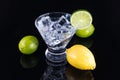 Sparkling beverage in a martini glass with lemons and limes Royalty Free Stock Photo