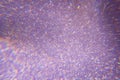 Sparkling bokeh background in a fresh purple color. sequins purple flares background defocus Royalty Free Stock Photo