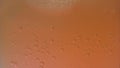 Sparkling Bubbles Rising in a Fizzy Peach-Orange Soda, Macro View of Carbonation in Refreshing Beverage, Slow Motion