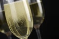 Sparkling Champagne in a glass Royalty Free Stock Photo