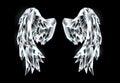 Crystal wings on black background Royalty Free Stock Photo