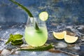 Sparkling cucumber mint gin and tonic fizz with aloe vera on marble table. Copy space. Dragon tail cocktail for fans party. Royalty Free Stock Photo