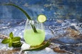 Sparkling cucumber mint gin and tonic fizz with aloe vera on marble table. Copy space. Dragon tail cocktail for fans party. Royalty Free Stock Photo