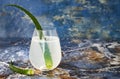 Sparkling cucumber mint gin and tonic fizz with aloe vera on marble table. Copy space. Dragon tail cocktail for fans party.