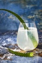 Sparkling cucumber mint gin and tonic fizz with aloe vera on marble table. Copy space. Dragon tail cocktail for fans party.