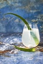 Sparkling cucumber mint gin and tonic fizz with aloe vera on marble table. Copy space. Dragon tail cocktail for fans party. Royalty Free Stock Photo