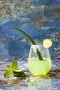 Sparkling cucumber mint gin and tonic fizz with aloe vera on marble table. Copy space. Dragon tail cocktail for fans party. Royalty Free Stock Photo