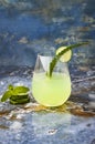 Sparkling cucumber mint gin and tonic fizz with aloe vera on marble table. Copy space. Dragon tail cocktail for fans party. Royalty Free Stock Photo