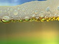 Sparkling drink bubbles background Royalty Free Stock Photo