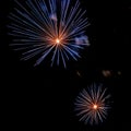 sparkling firework on night seen from a park and trees silhouettes