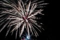 sparkling firework on night seen from a park and trees silhouettes