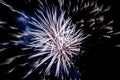 Sparkling firework on night seen from a park