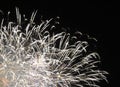 Sparkling fireworks Royalty Free Stock Photo