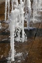 Sparkling fountain splashes in summer in a city