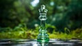 Sparkling Glass Chess King On Green Grass Chessboard Royalty Free Stock Photo