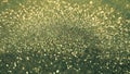 Gold & green glitter bokeh background. Abstract glittering shimmer. Vintage lights shiny backdrop. Golden dust sparkles. Royalty Free Stock Photo