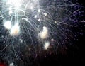sparkling glittering fireworks exploded in the sky during the celebrations for the national holiday Royalty Free Stock Photo