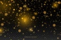 Sparkling-golden-particles Royalty Free Stock Photo