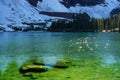 Sparkling Hidden Lake Glacier National Park Royalty Free Stock Photo