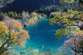 Sparkling lake in Jiuzhaigou