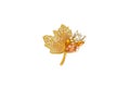 Sparkling Leaf Brooch with Crystals and Gemstones Royalty Free Stock Photo