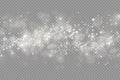 Sparkling magic dust particles bokeh, light effect Royalty Free Stock Photo