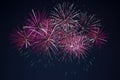 Sparkling maroon red pink celebration fireworks