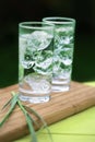 Sparkling mineral water with icecubes