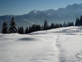 Sparkling Snow Royalty Free Stock Photo