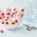 Soda, Raspberry and Thyme Ice Pops Royalty Free Stock Photo