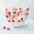 Soda, Raspberry and Thyme Ice Pops Royalty Free Stock Photo