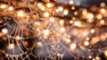 Sparkling spiderweb creating a delicate net with dew drops catching golden bokeh lights in a mystical forest scene Royalty Free Stock Photo