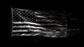 Sparkling Stars and Stripes - Black and White American Flag Royalty Free Stock Photo