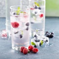 Sparkling water with berry and herb ice Royalty Free Stock Photo