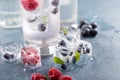 Sparkling water with berry and herb ice Royalty Free Stock Photo