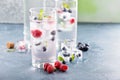 Sparkling water with berry and herb ice