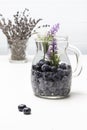 Sparkling water with blueberry in glass jar Royalty Free Stock Photo