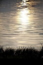 Sparkling water with lights of sunset vertical Royalty Free Stock Photo