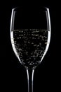 Sparkling white wine Royalty Free Stock Photo