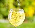 Sparkling white wine Royalty Free Stock Photo