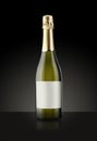 Sparkling White Wine Bottle Royalty Free Stock Photo