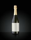 Sparkling White Wine Bottle Royalty Free Stock Photo