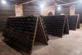 Sparkling wine bottles fermenting in winery cellar