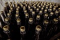 Sparkling wine bottles pattern in a modern winery Royalty Free Stock Photo